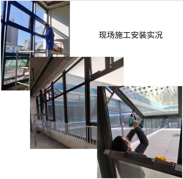 香港六宝典资料大全