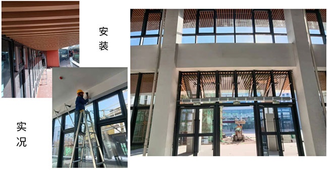 香港六宝典资料大全
